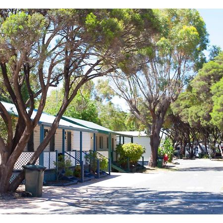 Discovery Parks - Coogee Beach Esterno foto