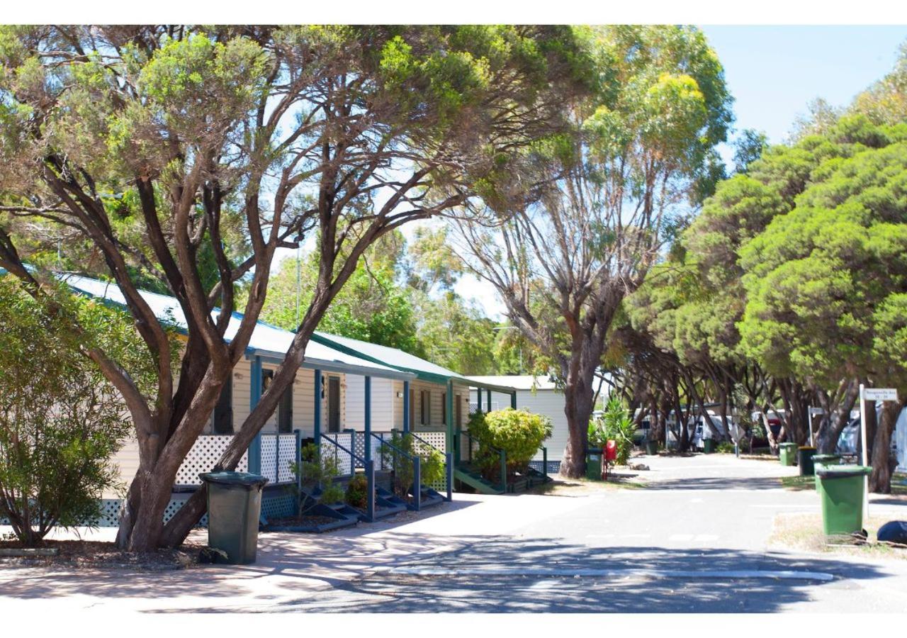Discovery Parks - Coogee Beach Esterno foto